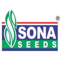 Back Office Assistant (Female Candidates Only) 
